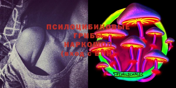 прущая мука Богородск