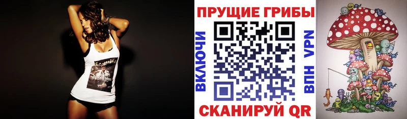 Псилоцибиновые грибы Psilocybe  Юрьев-Польский 